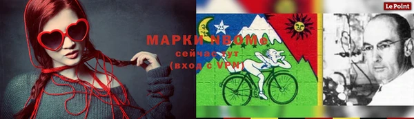 молекула духа Арсеньев