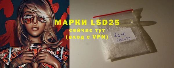 молекула духа Арсеньев