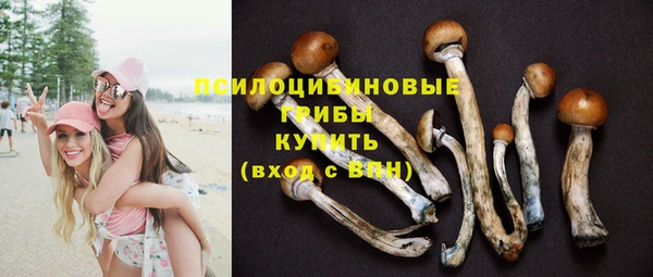 скорость Аркадак