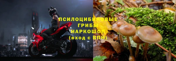 скорость Аркадак