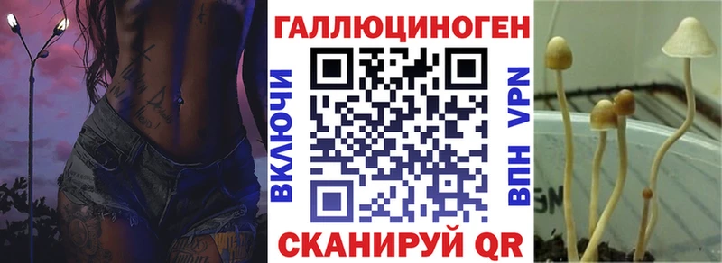 кракен tor  Семёнов  Псилоцибиновые грибы Magic Shrooms  где купить наркоту 